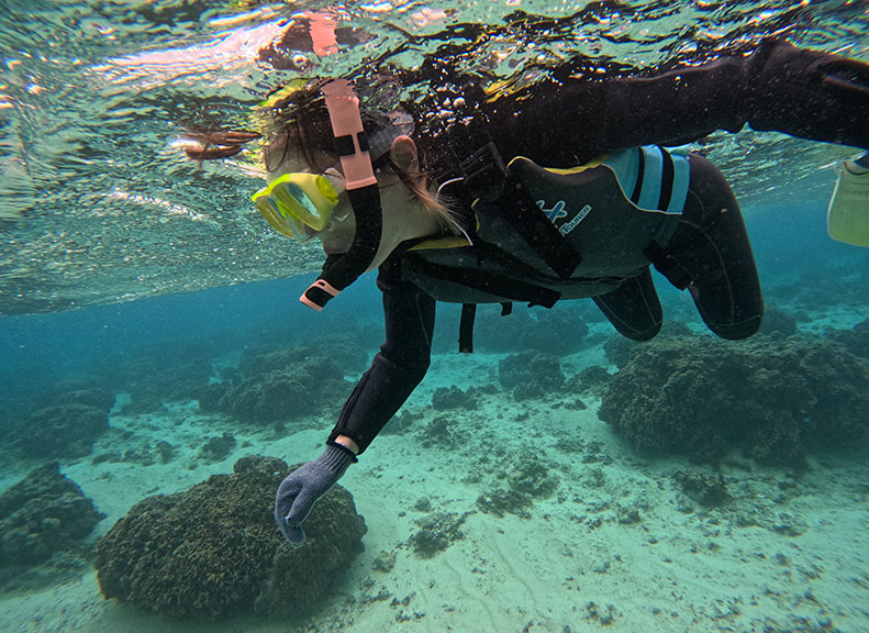 感動體驗「海蛞蝓探索潛水之旅」