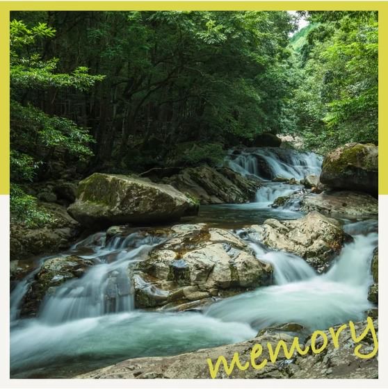 在愛媛・北宇和放鬆身心！享受滑床溪谷大自然的情侶之旅