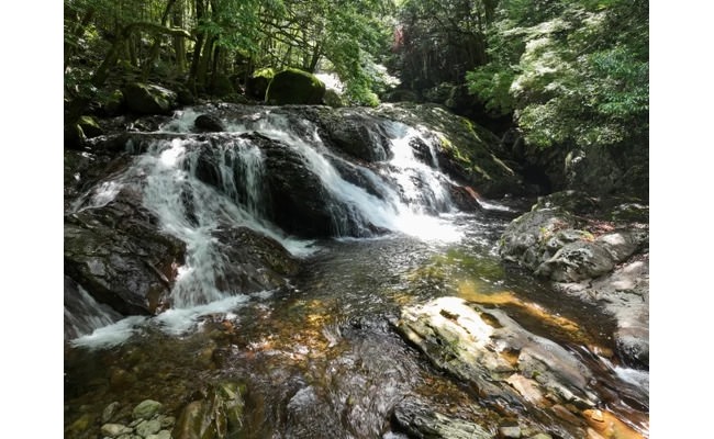 滑床溪谷的風景①