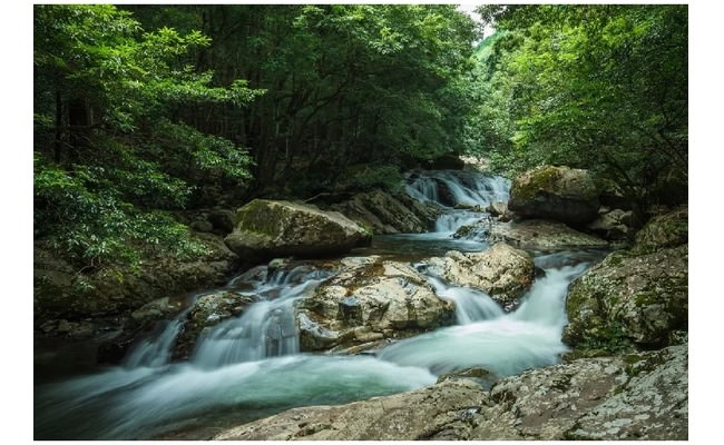 滑床溪谷的風景③
