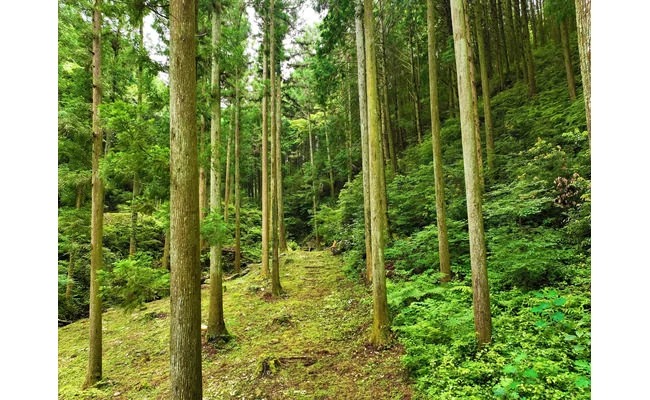 奈良山等妙寺史跡公園