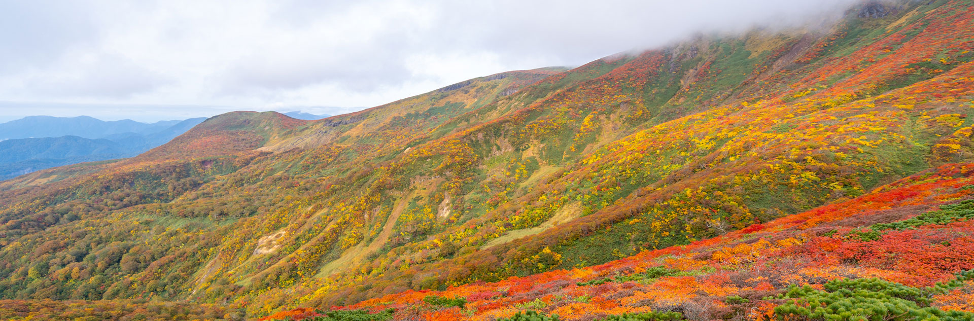 秋田旅行 akita area