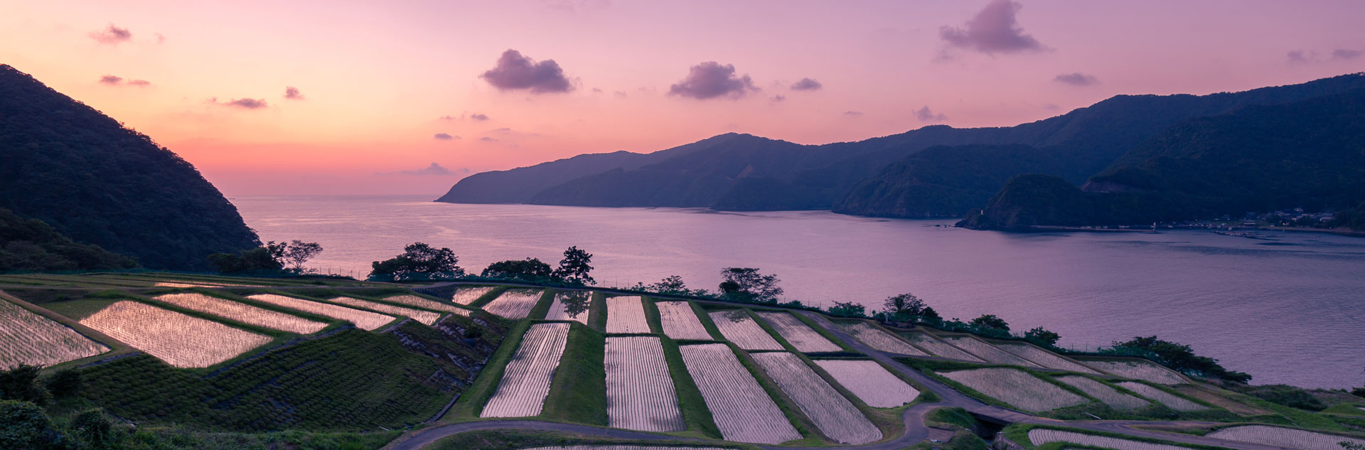 福井旅行 fukui area