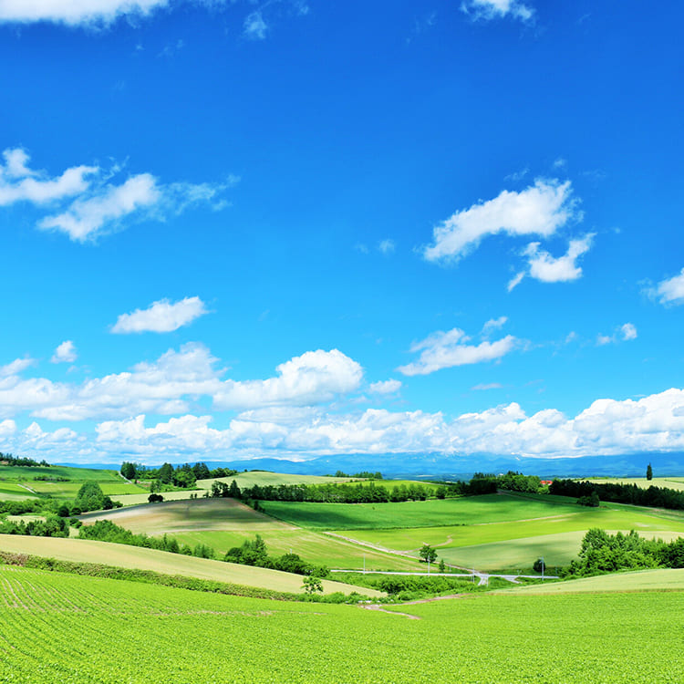 北海道旅行 Hokkaido area