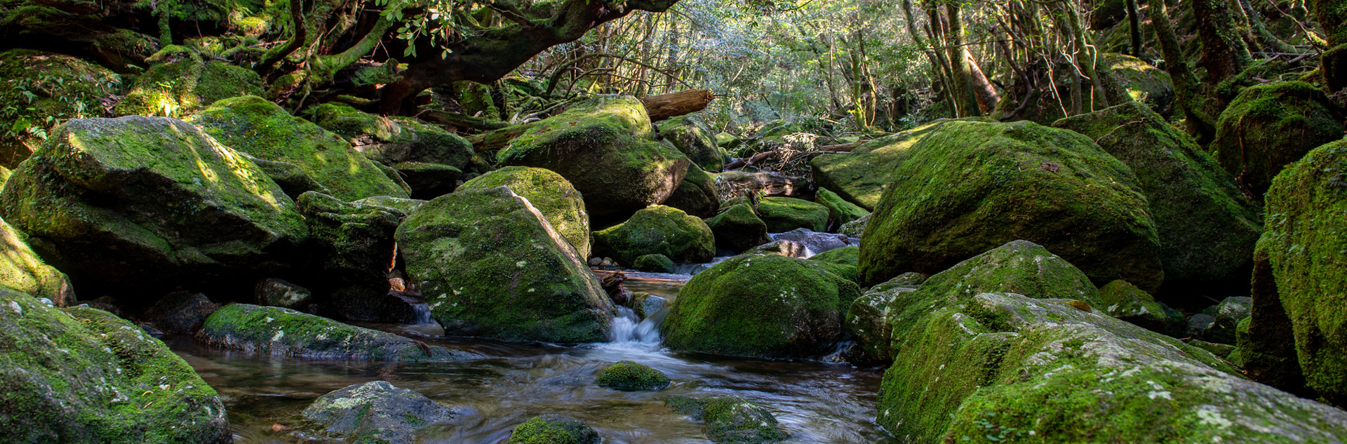 鹿兒島旅行 kagoshima area