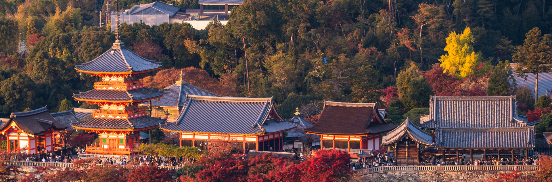 京都旅行 kyoto area