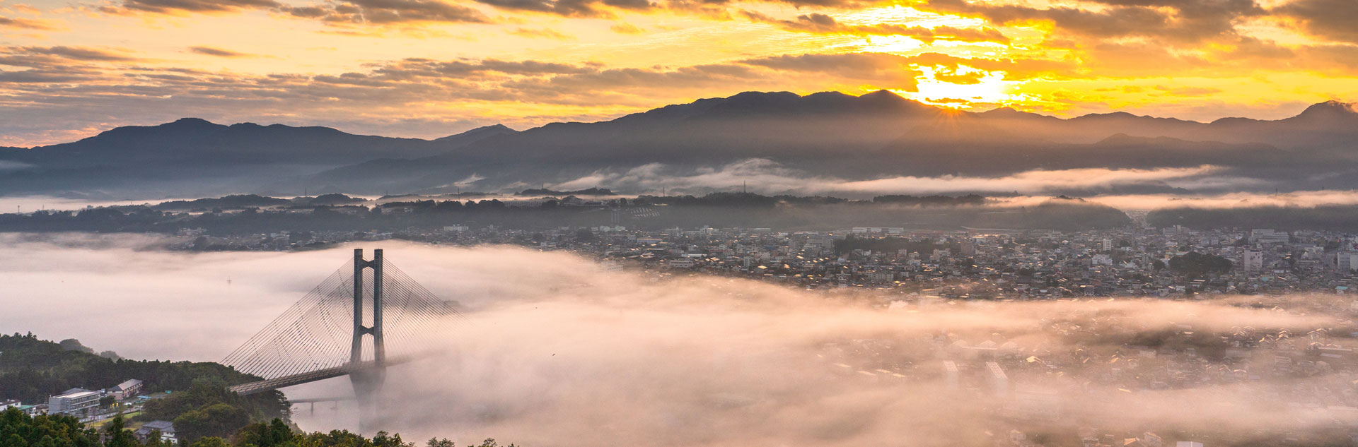 埼玉旅行 Saitama area