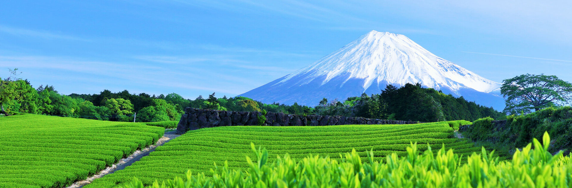 静岡旅行 shizuoka area