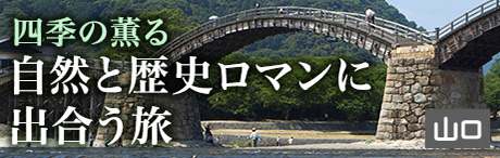 旅色エリア特集｜四季の薫る　自然と歴史ロマンに出合う旅｜山口