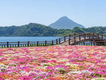 鹿兒島縣