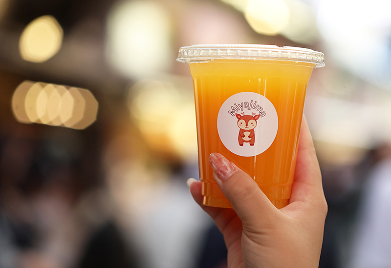 プリムべェール PriMevErE