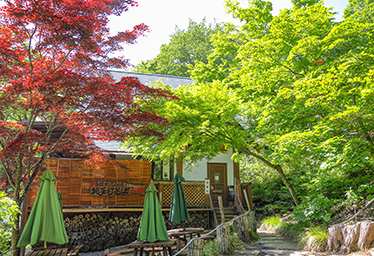 手打そばもみじ野