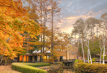 フォレストヴィレッジ