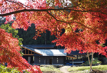 グランピングリゾート ブリリアントヴィレッジ日光