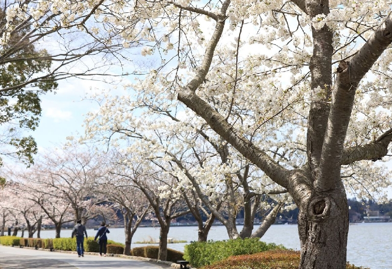 千波公園