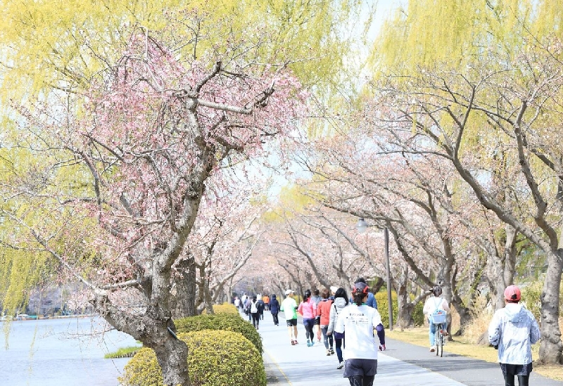 千波公園