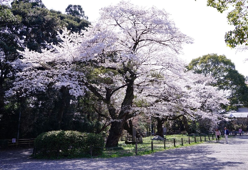 常磐神社