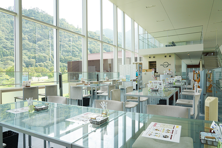 島根県立古代出雲歴史博物館