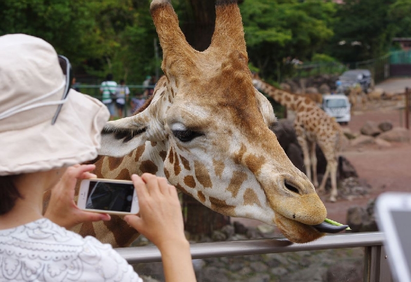 伊豆アニマルキングダム