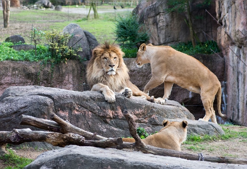 天王寺動物園