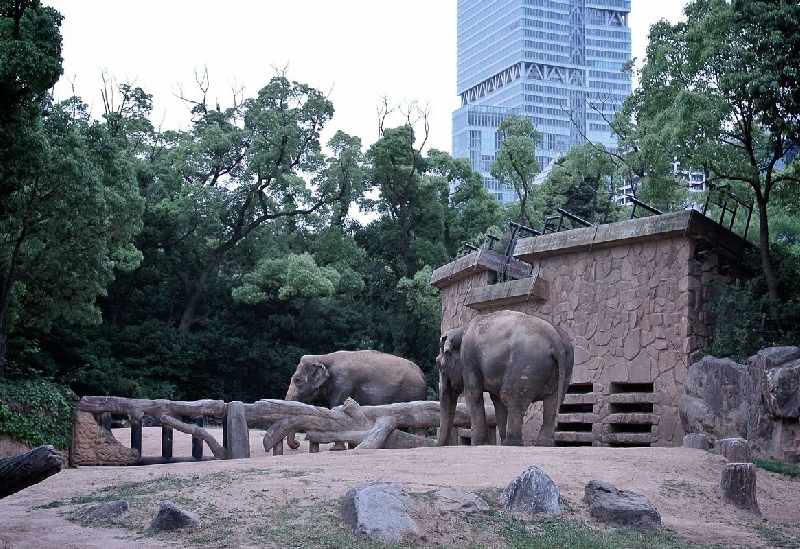 天王寺動物園