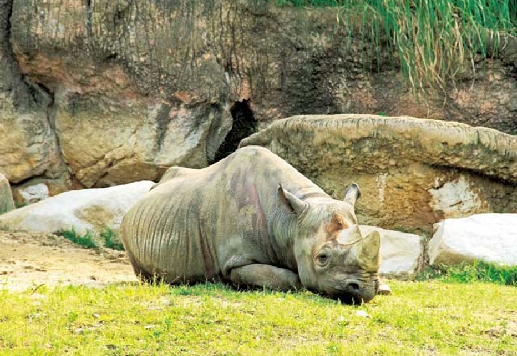 天王寺動物園