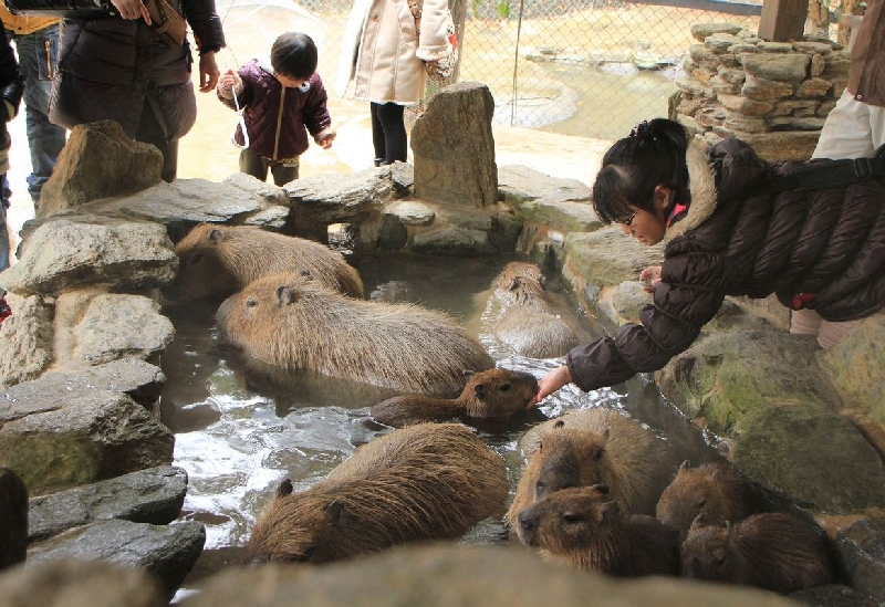 長崎バイオパーク