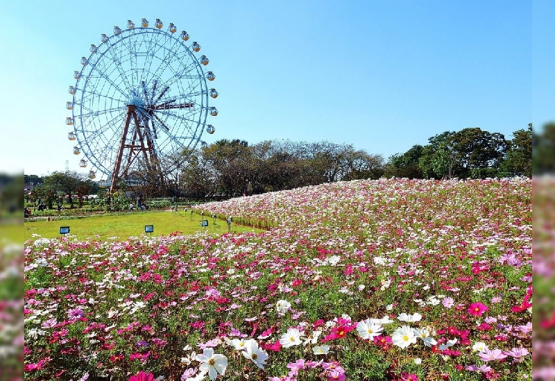 東武動物公園