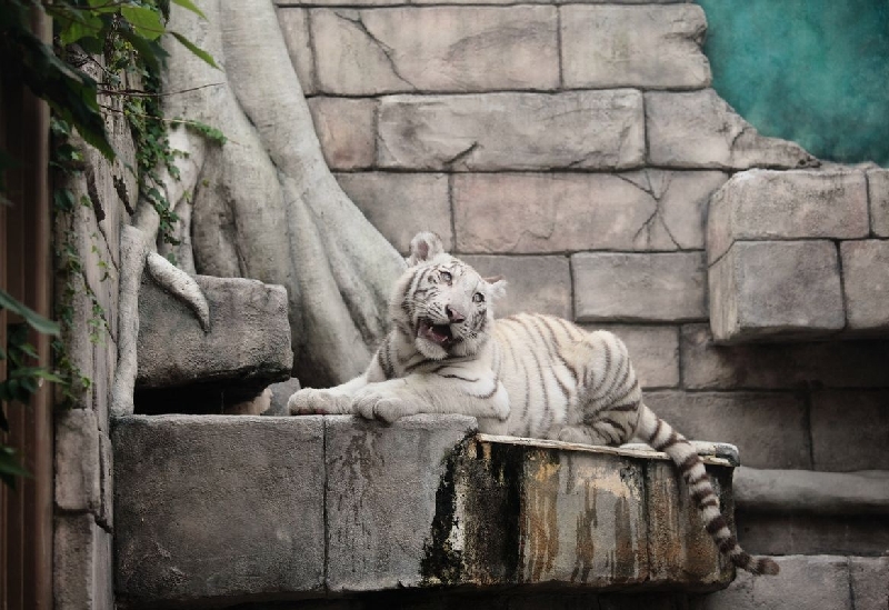 東武動物公園