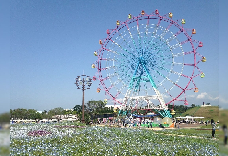 海の中道海浜公園