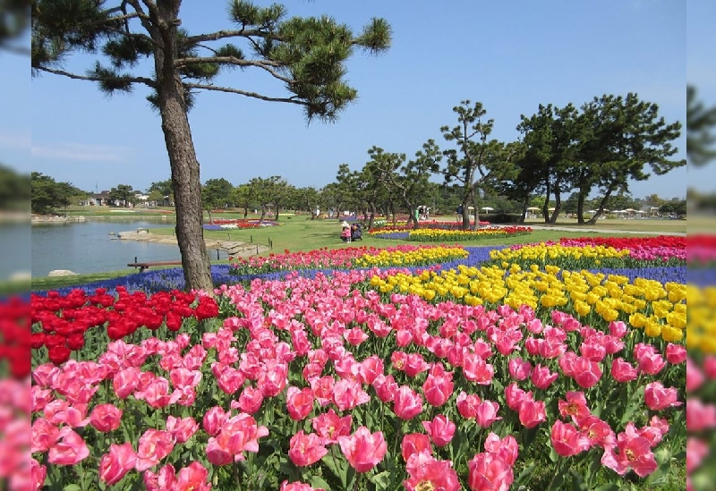 海の中道海浜公園