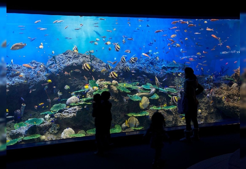 アクアワールド茨城県大洗水族館