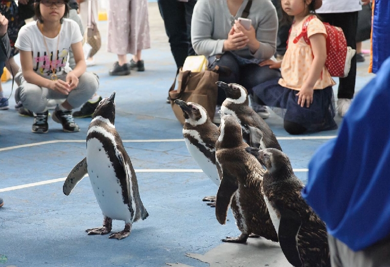 のとじま水族館