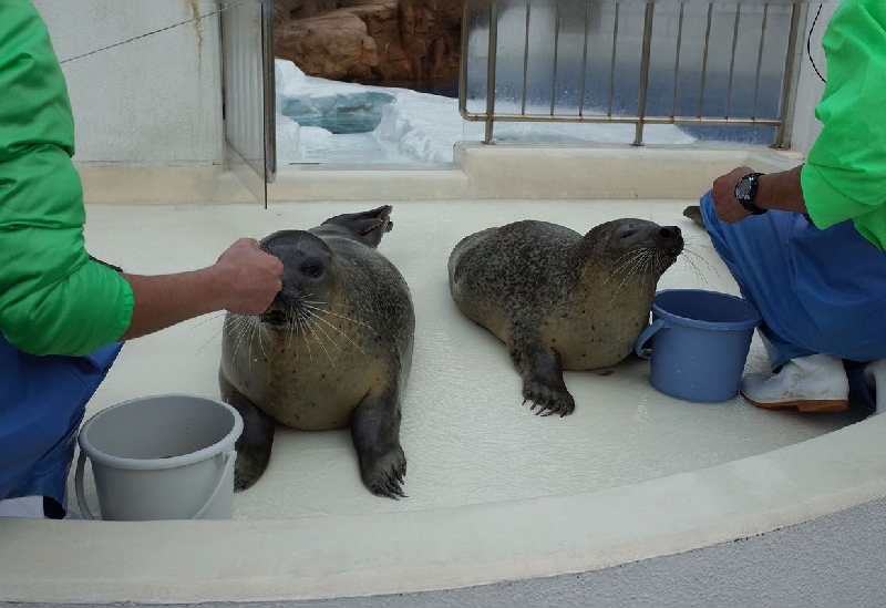 越前松島水族館