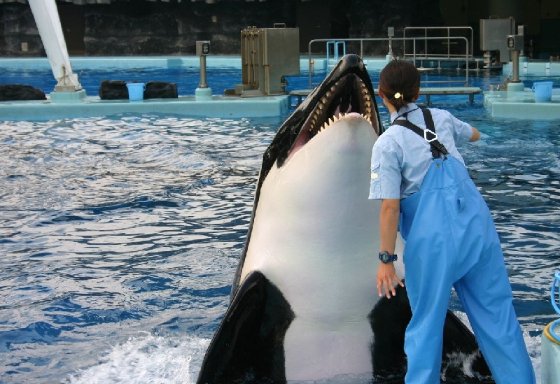 名古屋港水族館