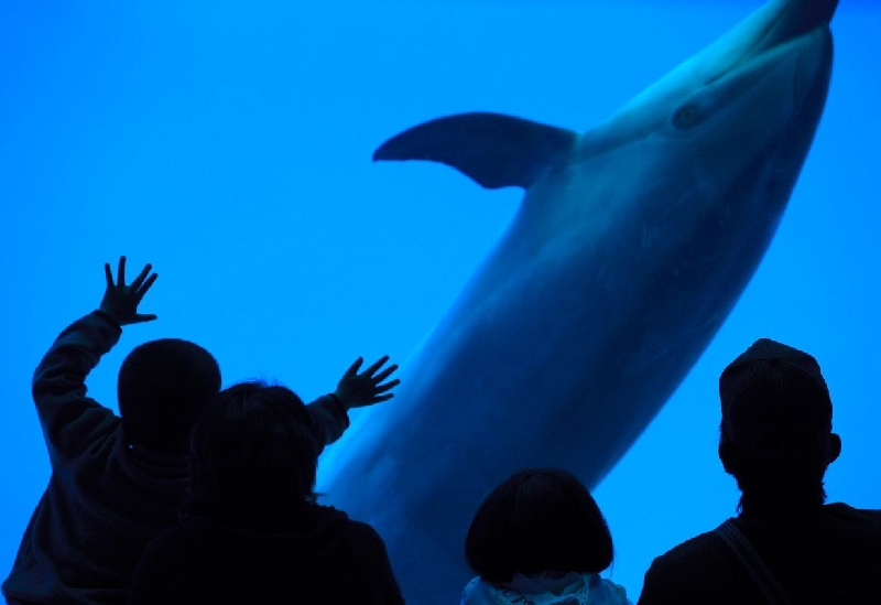 名古屋港水族館