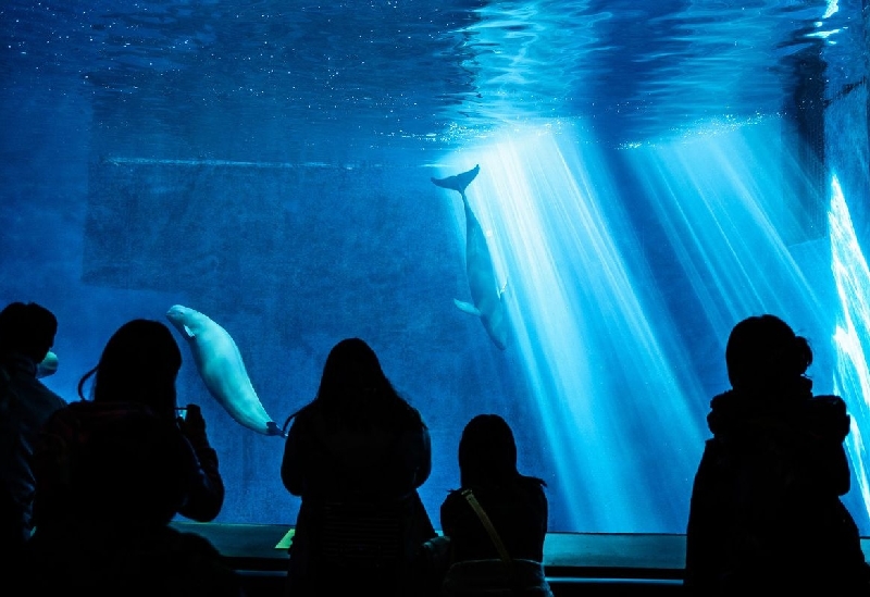 鳥羽水族館