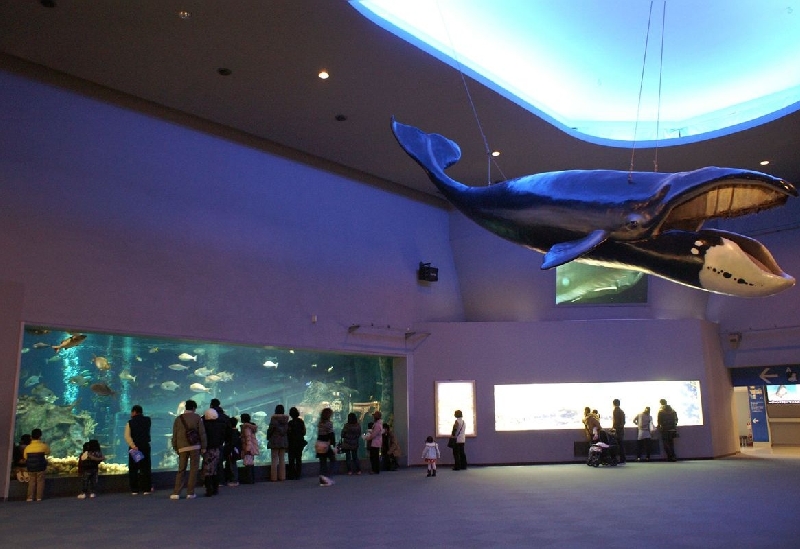 鳥羽水族館