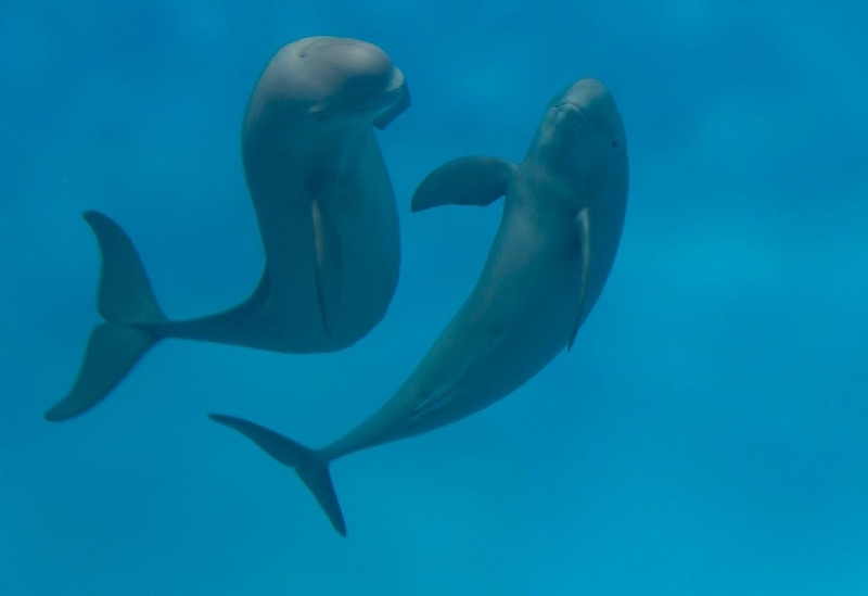 宮島水族館