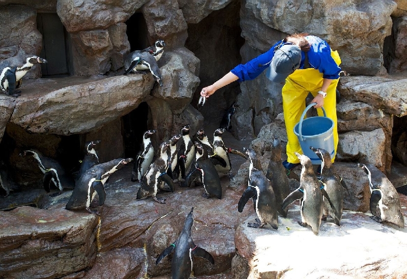 宮島水族館