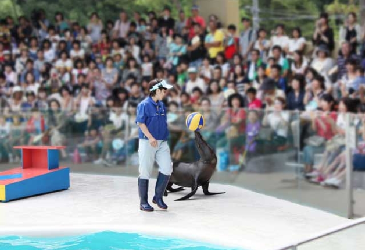 宮島水族館