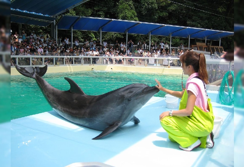 桂浜水族館