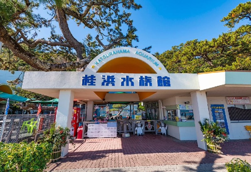 桂浜水族館