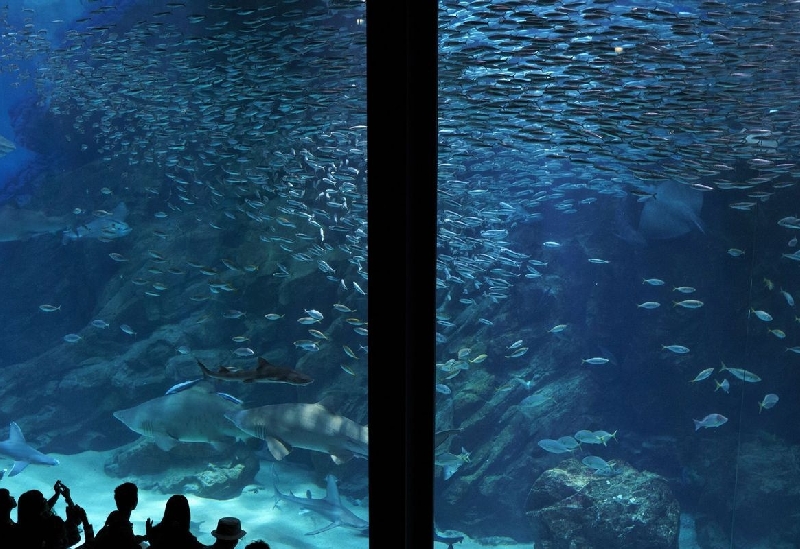 マリンワールド海の中道