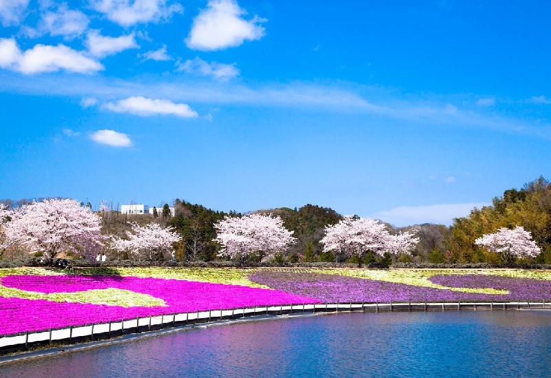 東京ドイツ村