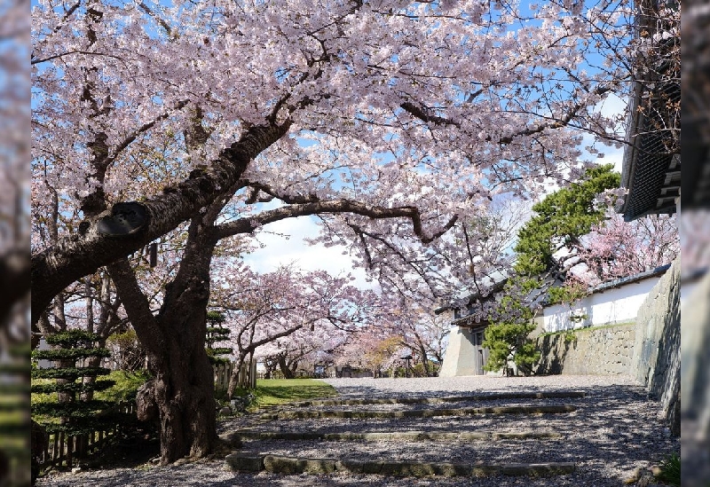 松前城（松前公園）