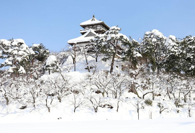 丸岡城