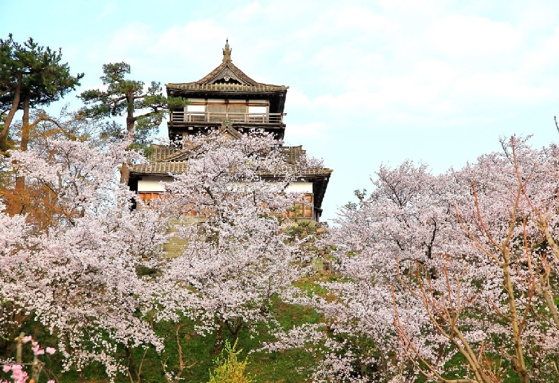 丸岡城