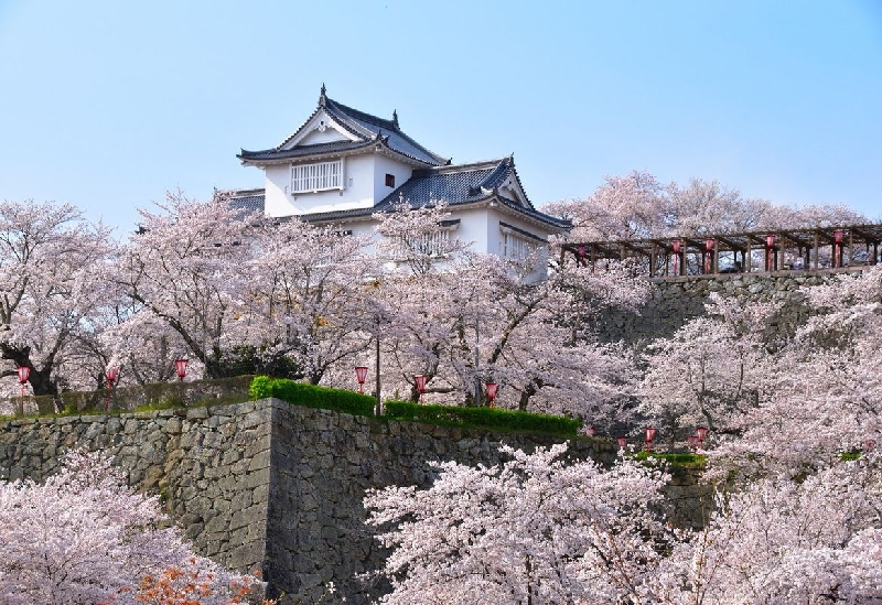 津山城（鶴山公園）