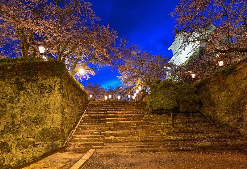 津山城（鶴山公園）